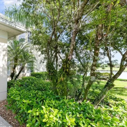 Image 3 - Mystic Greens Way, Lely Resort, Collier County, FL 34113, USA - Condo for rent