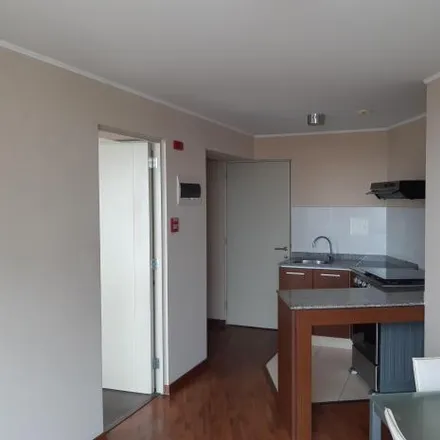 Rent this 1 bed apartment on Universitaria Avenue in Pueblo Libre, Lima Metropolitan Area 15032