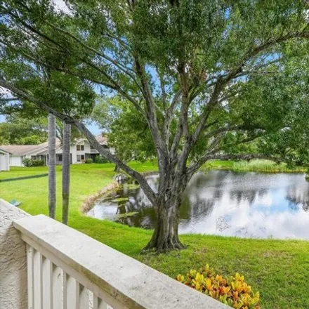 Image 5 - 1499 19th Street, Palm Harbor, FL 34683, USA - Condo for sale