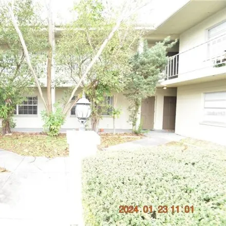 Rent this 1 bed apartment on 314 Danube Avenue in Tampa, FL 33606