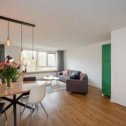 Image 5 - Prattenburg 76, 2036 SP Haarlem, Netherlands - Apartment for rent