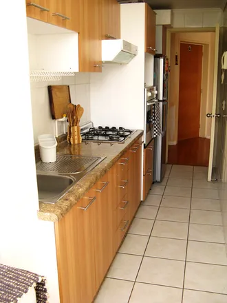 Image 5 - Recoleta, SANTIAGO METROPOLITAN REGION, CL - Apartment for rent