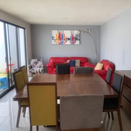 Rent this 3 bed house on unnamed road in Plaza Las Palmas, 36643 Irapuato