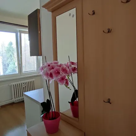 Image 8 - 80, 357 55 Bukovany, Czechia - Apartment for rent