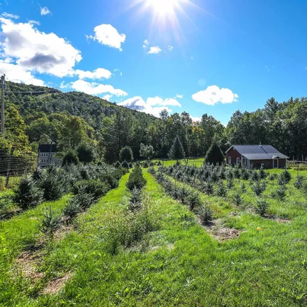 Image 5 - 97 Stewart Lane, Shrewsbury, Rutland County, VT 05738, USA - House for sale