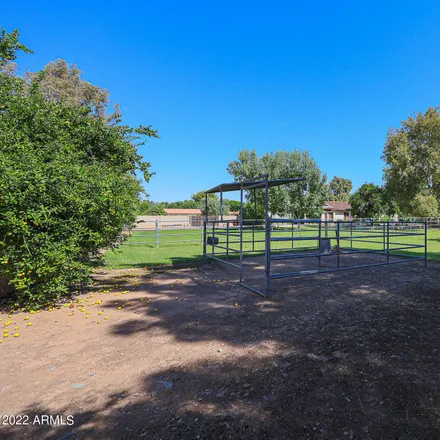 Image 8 - 7013 West Crocus Drive, Peoria, AZ 85381, USA - House for sale