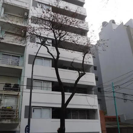 Image 2 - Doctor Emilio Ravignani 1302, Palermo, C1414 BBE Buenos Aires, Argentina - Apartment for rent