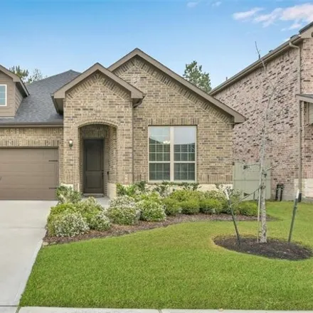 Image 1 - 10034 Red Beadtree Place, Montgomery County, TX 77385, USA - House for sale