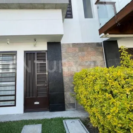 Rent this 3 bed house on Calle Martín del Campo in Villa de Jiutepec, 62550 Jiutepec