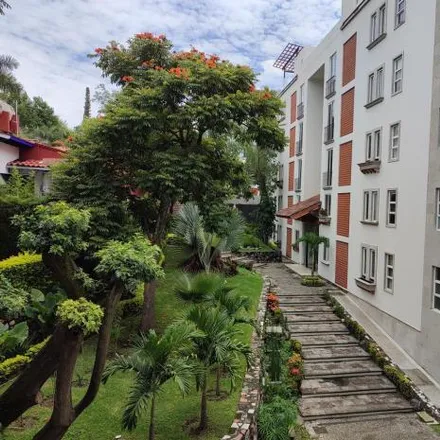 Image 2 - unnamed road, Las Palmas, 62070 San Miguel Acapantzingo, MOR, Mexico - Apartment for rent