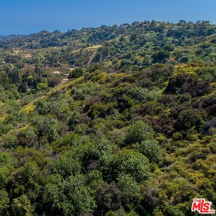 Image 6 - 3197 Benedict Canyon Drive, Beverly Hills, CA 90210, USA - House for sale