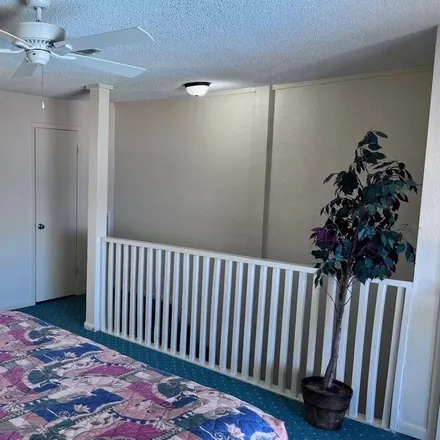 Rent this 1 bed condo on Freeport in TX, 77541
