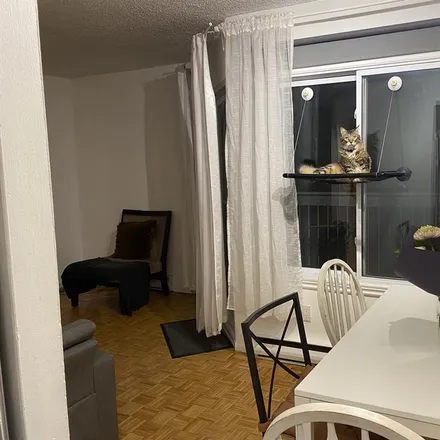 Image 3 - 42-669, Rue Buies, Montreal, QC H1S 1K3, Canada - Apartment for rent