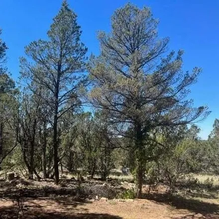 Image 2 - Bigler Road, Navajo County, AZ 85933, USA - House for sale