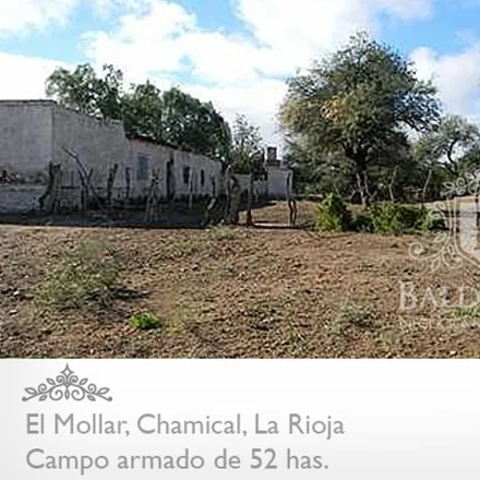 Image 4 - Ruta Provincial 1, Departamento Caleu Caleu, Municipio de Jacinto Aráuz, Argentina - Townhouse for sale