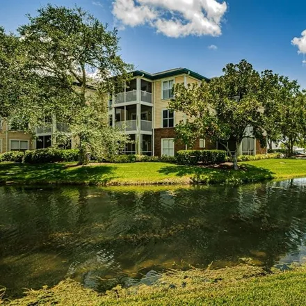 Image 3 - 4203 Chatham Oak Court, Mullis City, FL 33624, USA - Condo for sale