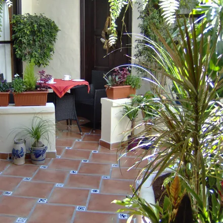 Rent this 1 bed apartment on Calle Campino in 38438 Icod de los Vinos, Spain