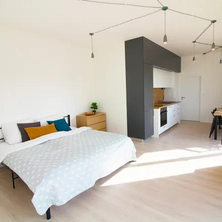 Rent this 1 bed apartment on Jeronýmova 4529/1 in 618 00 Brno, Czechia