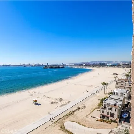 Rent this 1 bed condo on 1750 East Ocean Boulevard in Long Beach, CA 90802
