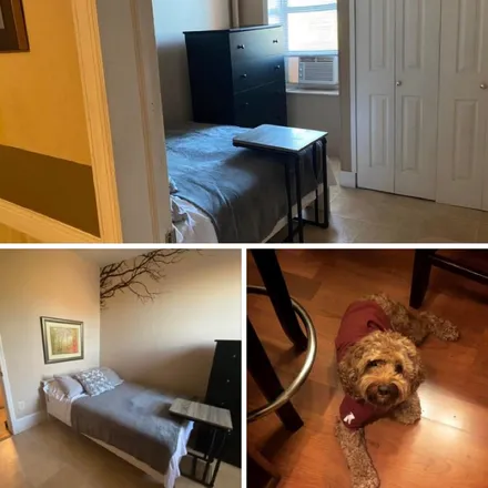 Rent this 1 bed room on 277 East 148th Street in New York, NY 10451