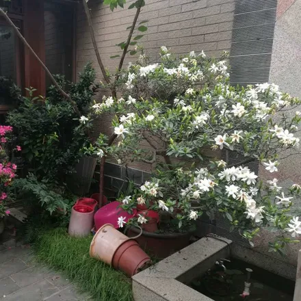 Image 4 - Shuangliu District, Baijiachang, LIAONING, CN - House for rent