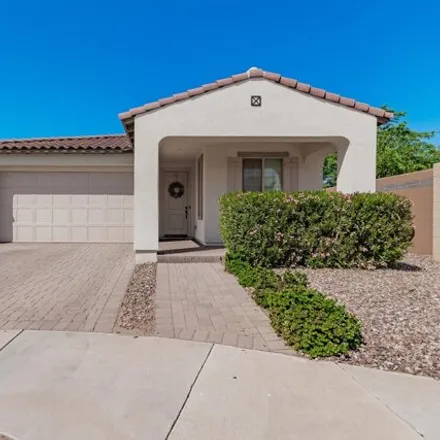 Rent this 3 bed house on 3922 East Oxford Lane in Gilbert, AZ 85295