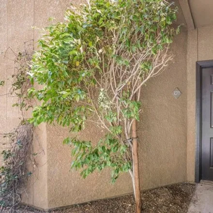 Image 3 - unnamed road, Phoenix, AZ 85016, USA - Apartment for rent