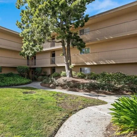 Image 6 - 5704 Baltimore Drive, La Mesa, CA 91942, USA - Condo for sale