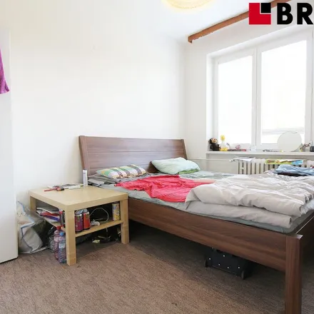Image 5 - Blodkova 3884/10, 636 00 Brno, Czechia - Apartment for rent