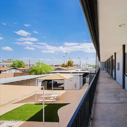 Image 2 - 3219 East Earll Drive, Phoenix, AZ 85018, USA - Apartment for rent