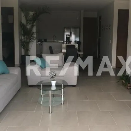 Rent this 3 bed apartment on unnamed road in Vía Montejo, 97110 Mérida