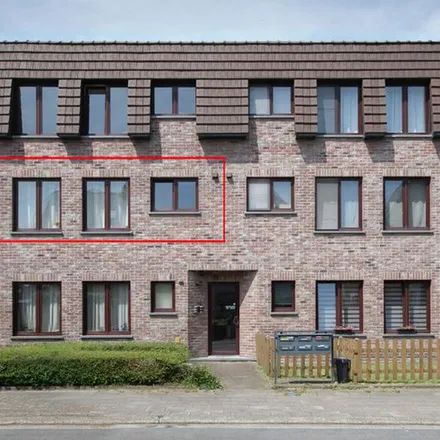 Image 2 - Molenstraat 140, 2547 Lint, Belgium - Apartment for rent