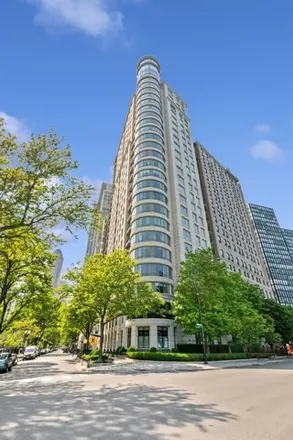 Image 1 - The Belvedere, 270 East Pearson Street, Chicago, IL 60611, USA - Condo for sale