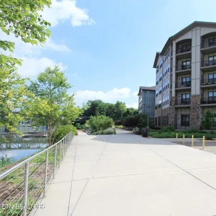 Buy this 1 bed condo on City View in 445 West Blount Avenue, Knoxville