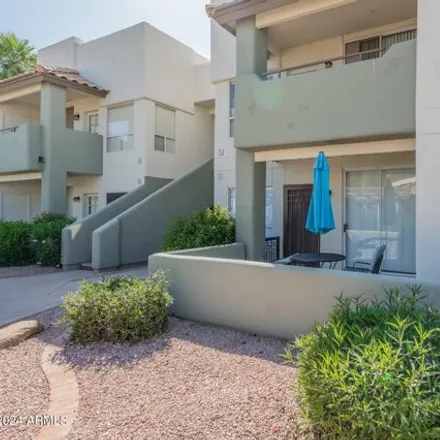 Rent this 1 bed apartment on East lake loop path in Chandler, AZ 85224