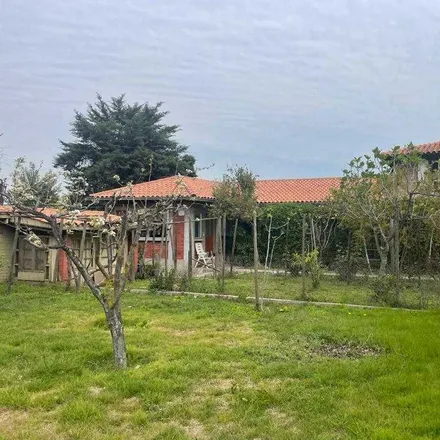 Image 8 - Escultor Manuel Rojas 1652, 786 0379 Provincia de Santiago, Chile - House for sale