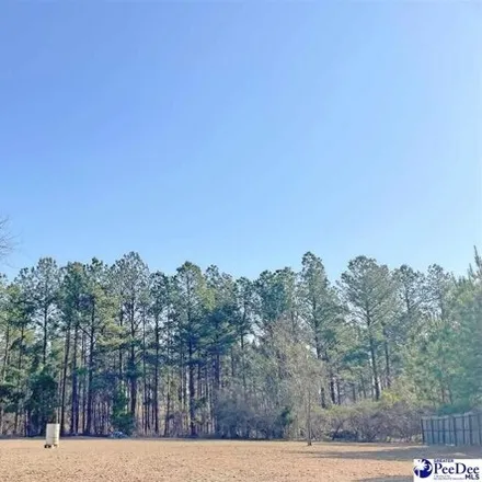 Image 6 - Begley Stump Road, Chesterfield County, SC 29709, USA - House for sale