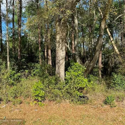 Image 3 - 11055 US Highway 27, Newberry, FL 32618, USA - House for sale