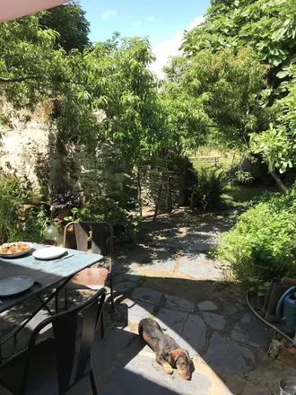 Image 1 - Angers, PDL, FR - House for rent