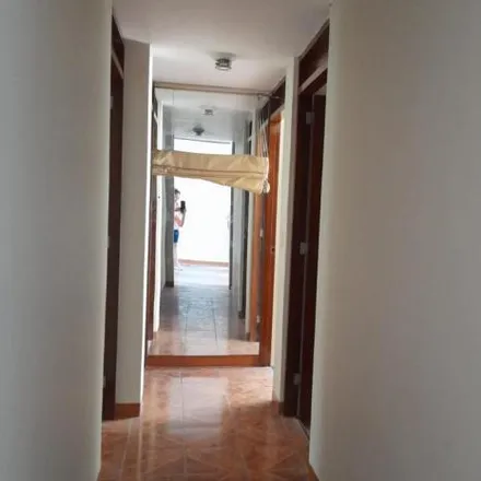 Image 1 - Jirón Cerro Azul, Santiago de Surco, Lima Metropolitan Area 15803, Peru - Apartment for rent
