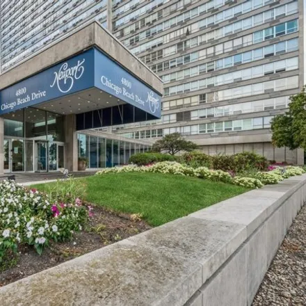 Rent this 1 bed condo on The Newport in 4800 South Chicago Beach Drive, Chicago