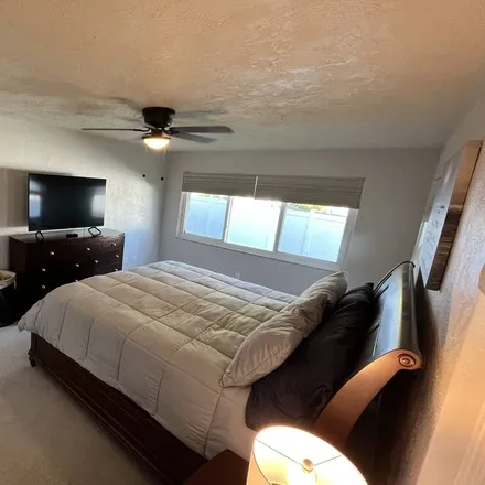 Image 5 - Clearwater, FL - House for rent