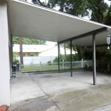 Image 6 - Park Street North & 26th Avenue North, Park Street North, The Jungle, Saint Petersburg, FL 33744, USA - House for rent