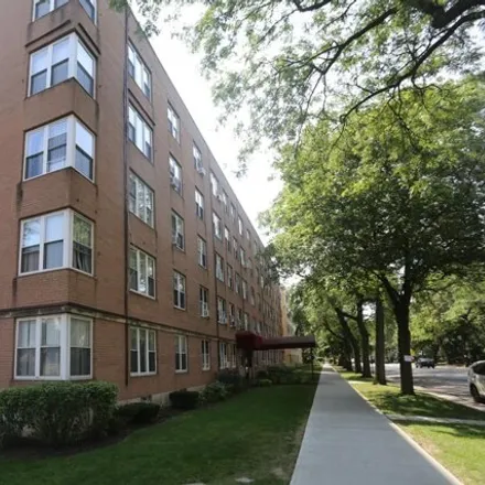 Rent this 1 bed apartment on 7333 North Ridge Boulevard in Chicago, IL 60645