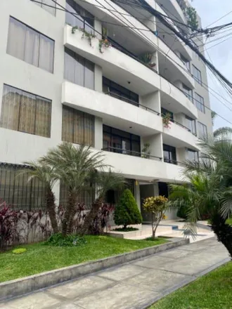 Image 4 - Jirón Batallón Tarma, Santiago de Surco, Lima Metropolitan Area 51132, Peru - Apartment for sale