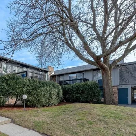 Image 2 - North Des Plaines River Road, Prospect Heights, Wheeling Township, IL 60056, USA - Condo for sale