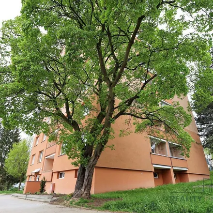 Image 4 - Černého 839/18, 635 00 Brno, Czechia - Apartment for rent