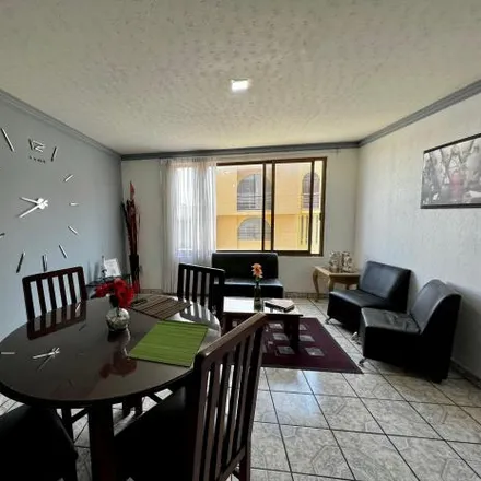 Rent this studio apartment on Avenida Brasil in 58270 Morelia, MIC