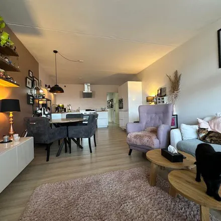 Rent this 1 bed apartment on Nijverheidssingel 195 in 4811 ZV Breda, Netherlands