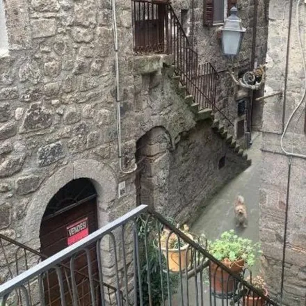 Image 9 - Bomarzo, Viterbo, Italy - Apartment for rent